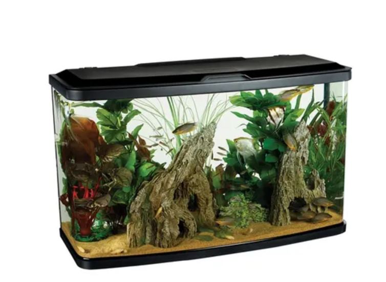 Fish Tanks For Sale Lowest everyday shop price Petco Direct