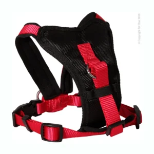 Pet One Harness Comfy 38-46 Br